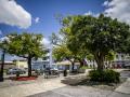 La Plaza pública de Bayamón conserva árboles y vegetación en medio del urbanismo. Xavier Garcia / Fotoperiodista (XAVIER GARCIA)
