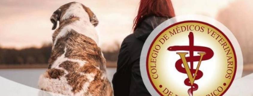 Colegio de Médicos Veterinarios Aclara Dudas Sobre Animales y el Coronavirus