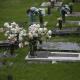 Cementerios de Veteranos Abrirán el Día de las Madres
